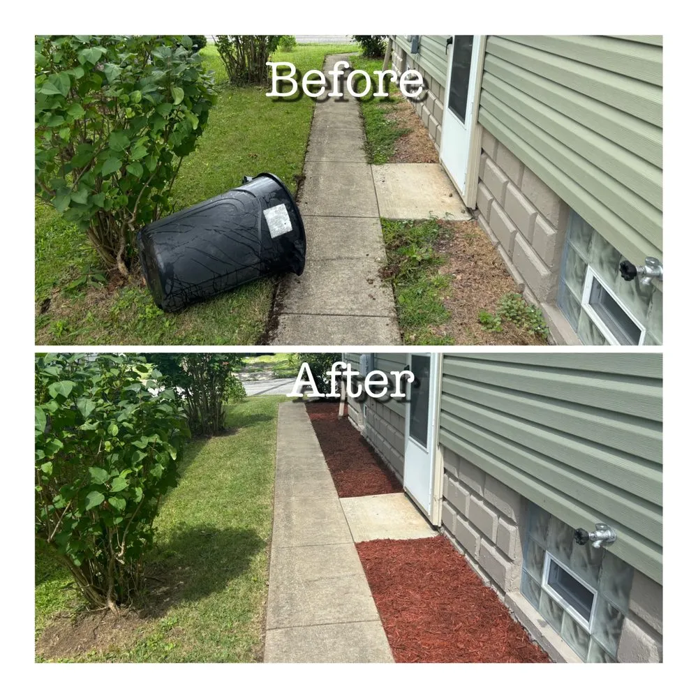 Top-rated yard maintenance experts serving New Castle, PA - Three Bees Lawn Care