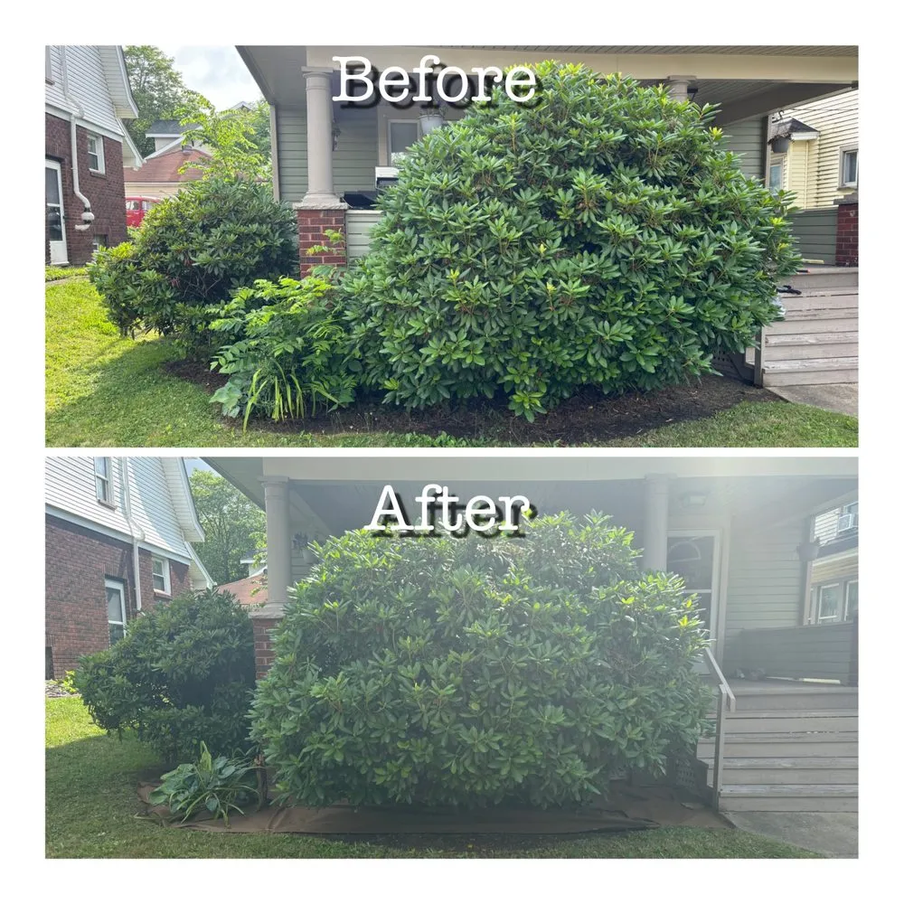 Expert yard maintenance in New Castle, PA - Three Bees Lawn Care