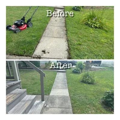 Three Bees Lawn Care Logo