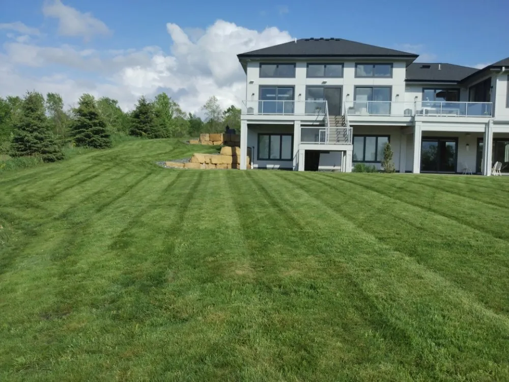 Professional landscaping services for year-round maintenance in Rochester, MN by Three Boys Lawn Care