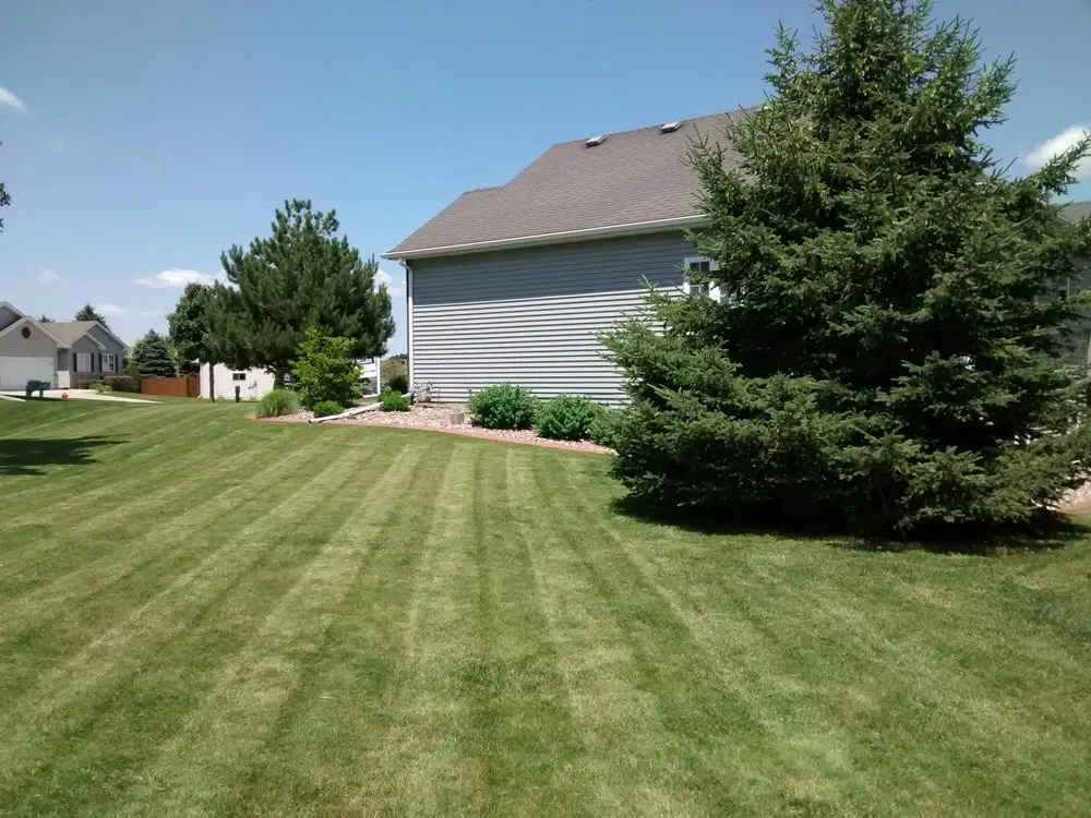 Custom yard maintenance in Rochester, MN - Three Boys Lawn Care