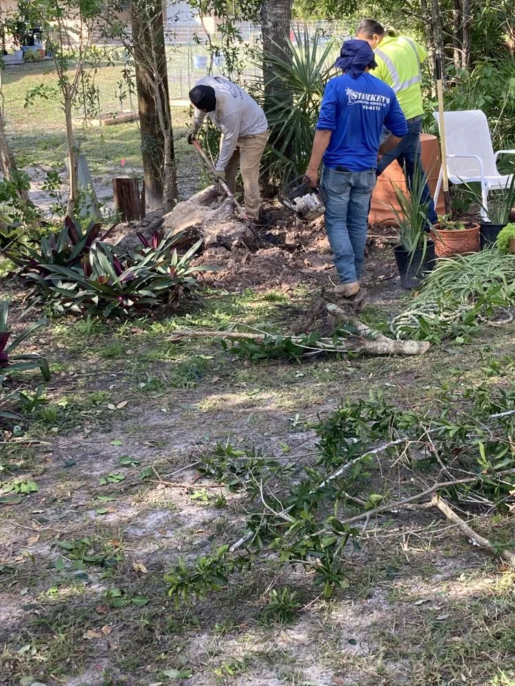 Local residential landscaping experts serving North Fort Myers, FL - Three Brother Cleaning & Lawn Services