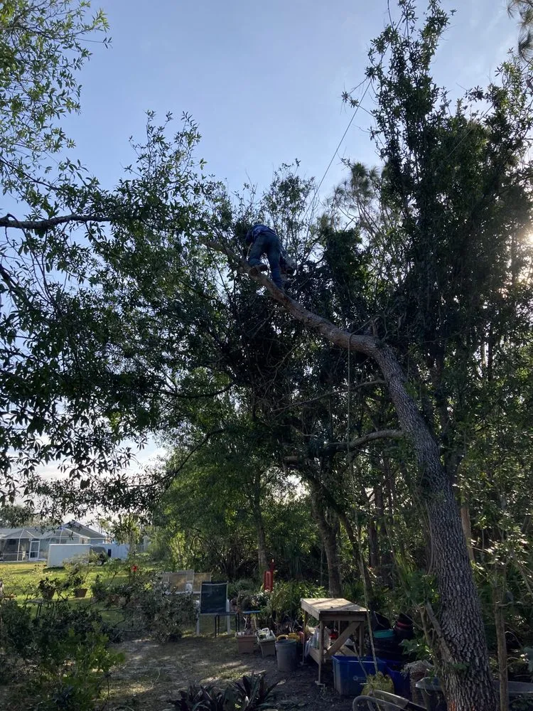 Custom outdoor landscaping in North Fort Myers, FL - Three Brother Cleaning & Lawn Services