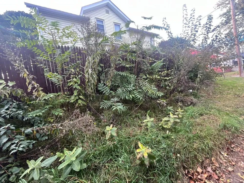 Professional yard maintenance for outdoor upgrades across Methuen, MA - Three Brothers Ground Maintenance