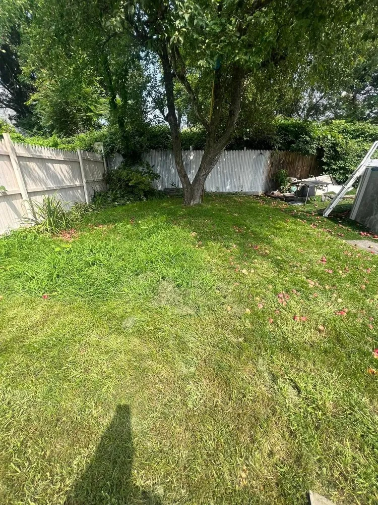 Trusted yard maintenance for year-round maintenance across Methuen, MA - Three Brothers Ground Maintenance