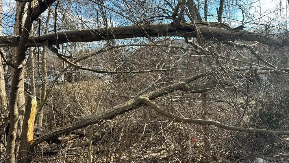 Expert outdoor landscaping for year-round maintenance across Methuen, MA - Three Brothers Ground Maintenance