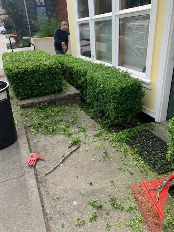 Expert yard maintenance for homes in Kent, WA by Three Brothers Landscaping