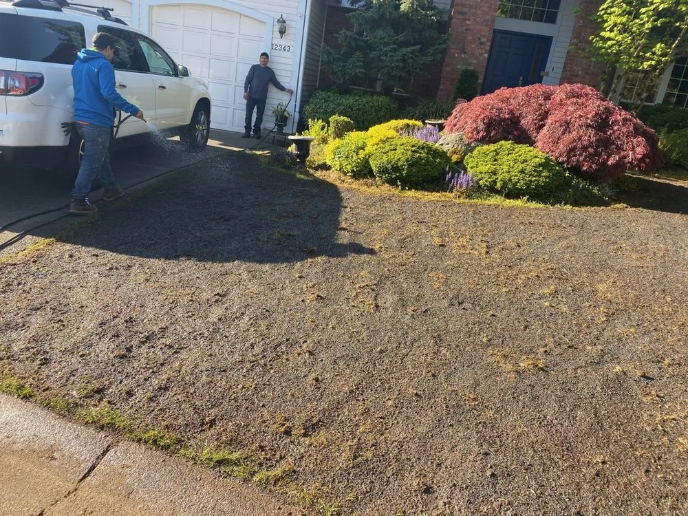 Expert lawn mowing service experts serving Kent, WA - Three Brothers Landscaping