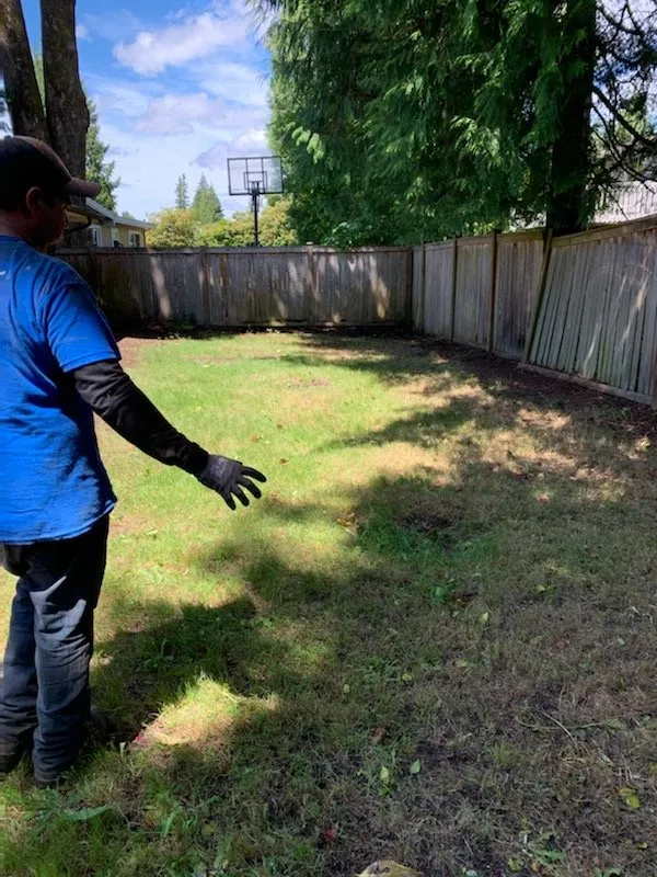 Professional landscape design in Kent, WA by Three Brothers Landscaping