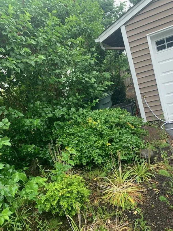 Expert landscaping services in Kent, WA by Three Brothers Landscaping