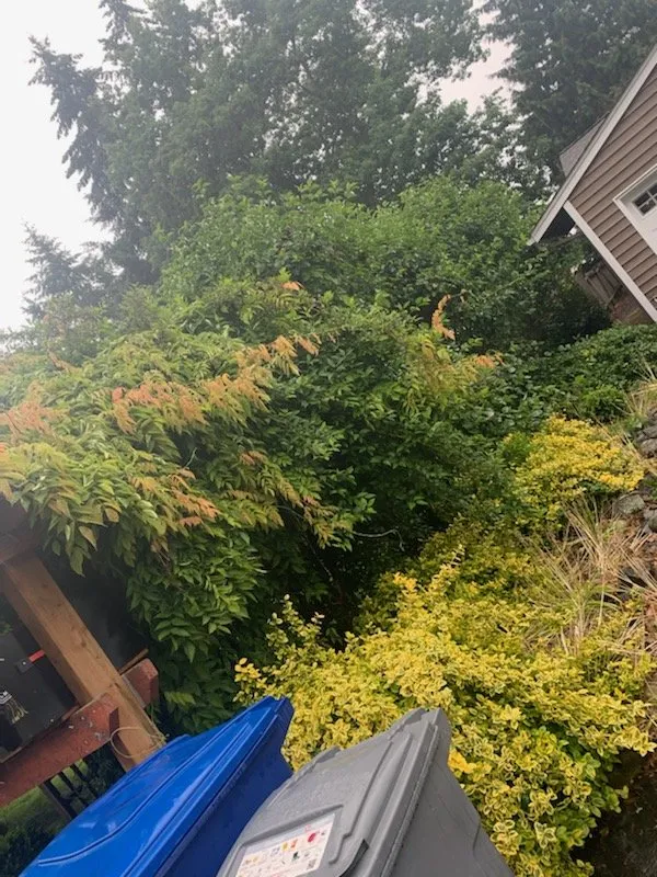 Top-rated residential landscaping with custom design in Kent, WA by Three Brothers Landscaping