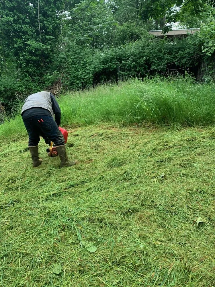 Trusted landscape installation experts serving Kent, WA - Three Brothers Landscaping