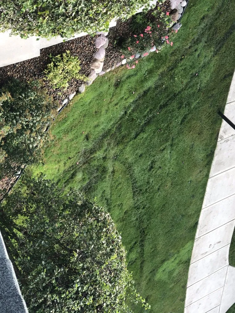 Expert yard maintenance in Oak Forest, IL by Three Brothers Landscaping