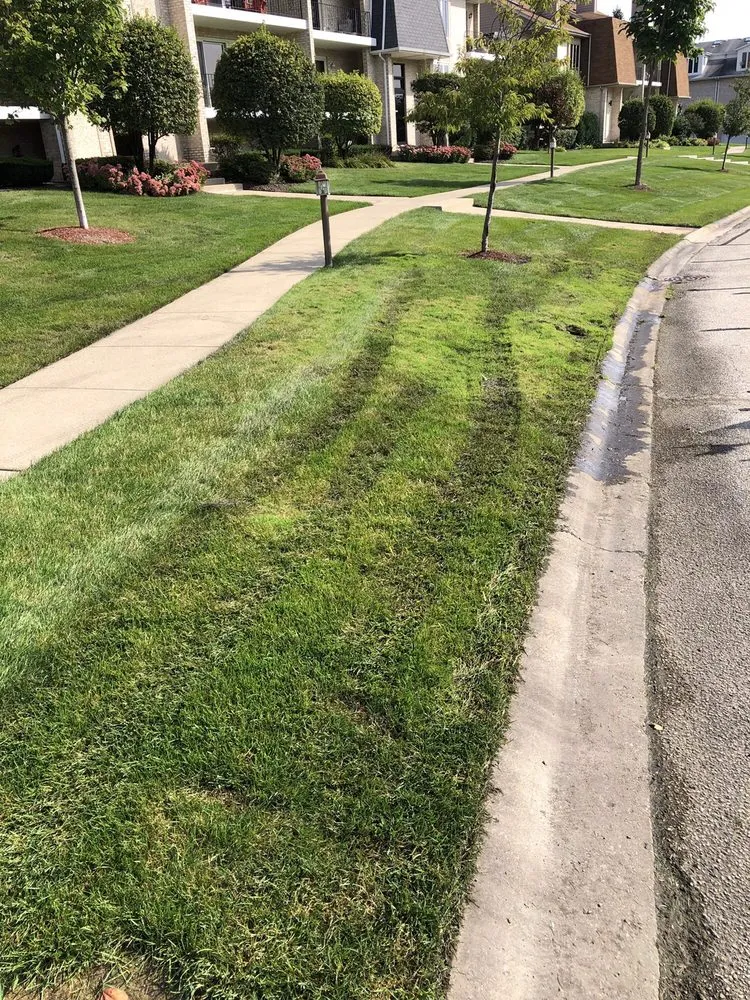 Trusted yard cleanup service experts serving Oak Forest, IL - Three Brothers Landscaping