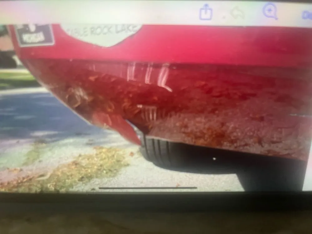 Reliable garden landscaping in Oak Forest, IL by Three Brothers Landscaping