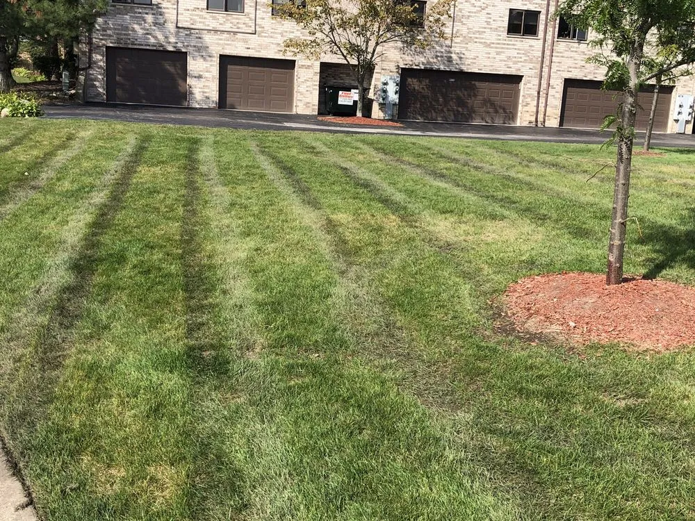 Affordable yard maintenance in Oak Forest, IL by Three Brothers Landscaping