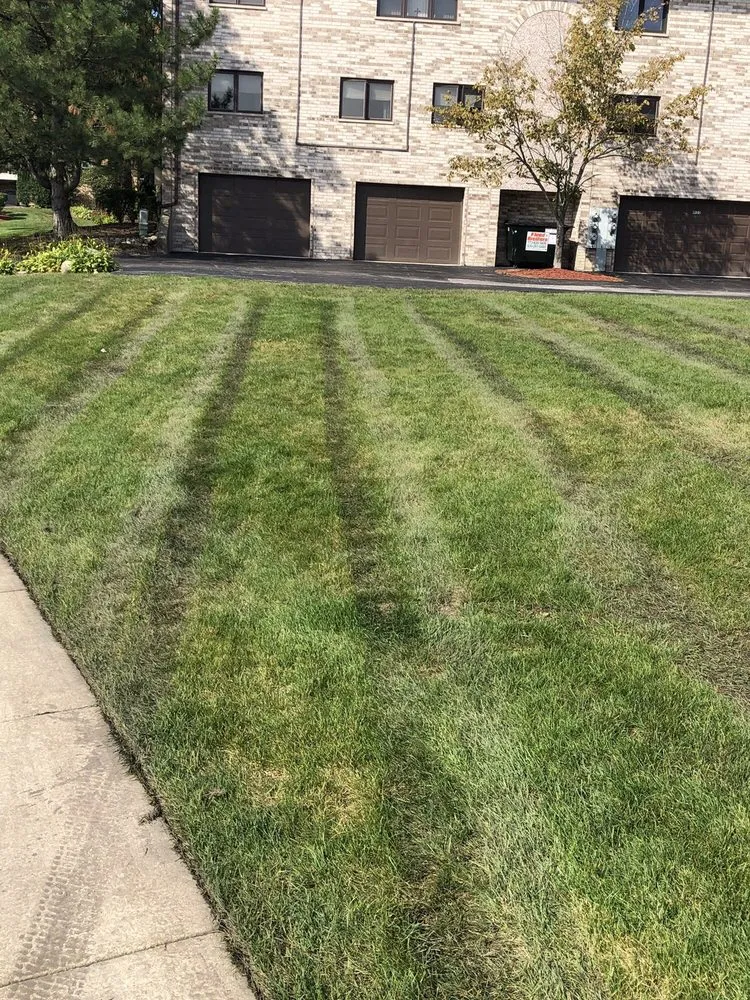 Reliable yard maintenance in Oak Forest, IL - Three Brothers Landscaping