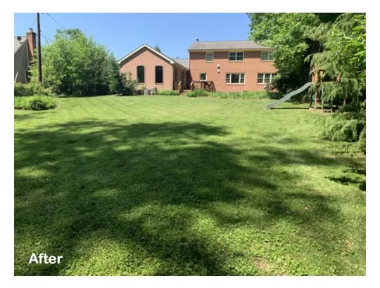 Professional landscape design for outdoor upgrades in Brandywine, MD by Three Brothers Lawn Care Services