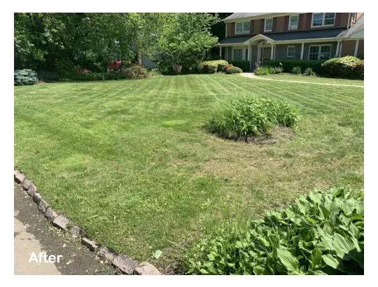 Reliable landscape installation in Brandywine, MD - Three Brothers Lawn Care Services
