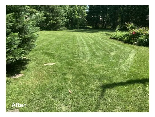 Local residential landscaping in Brandywine, MD - Three Brothers Lawn Care Services