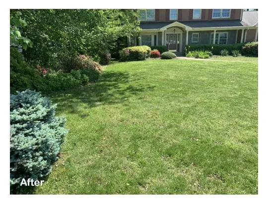 Trusted yard maintenance for homes in Brandywine, MD by Three Brothers Lawn Care Services