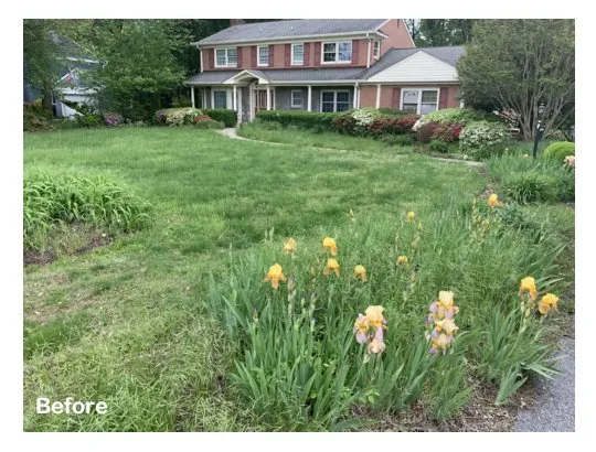 Professional outdoor landscaping in Brandywine, MD - Three Brothers Lawn Care Services