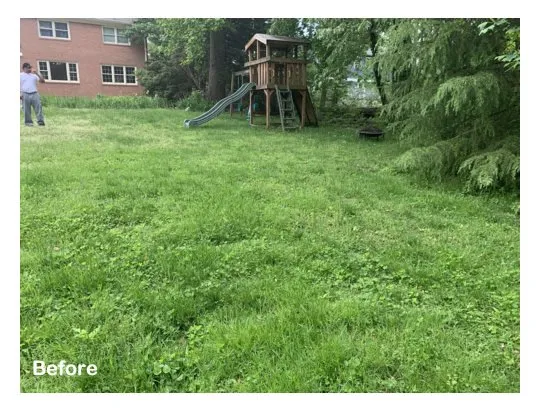 Top-rated landscape installation for beautiful yards in Brandywine, MD by Three Brothers Lawn Care Services