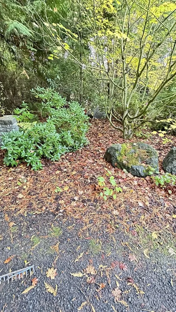 Professional garden landscaping experts serving Sequim, WA - Three Brothers Painting