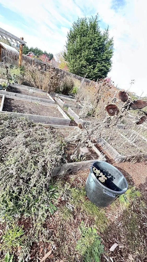 Professional garden landscaping in Sequim, WA - Three Brothers Painting