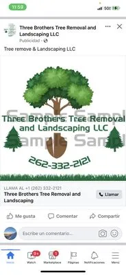 Three Brothers Tree Removal And Landscaping Logo