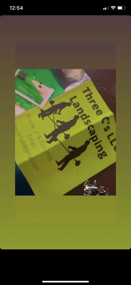 Custom yard cleanup service experts serving Cleveland, OH - Three C’s