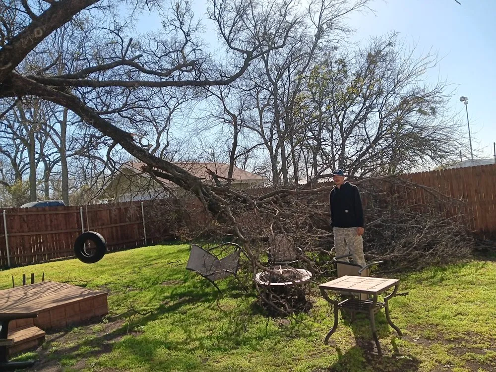 Local garden landscaping for outdoor upgrades across Alvarado, TX - Three D Construction