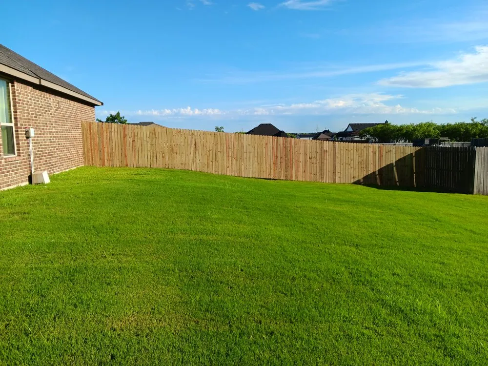 Professional yard cleanup service for homes across Alvarado, TX - Three D Construction