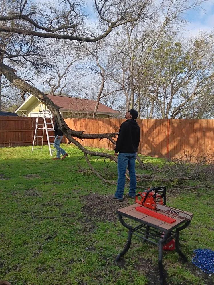 Custom lawn mowing service in Alvarado, TX - Three D Construction