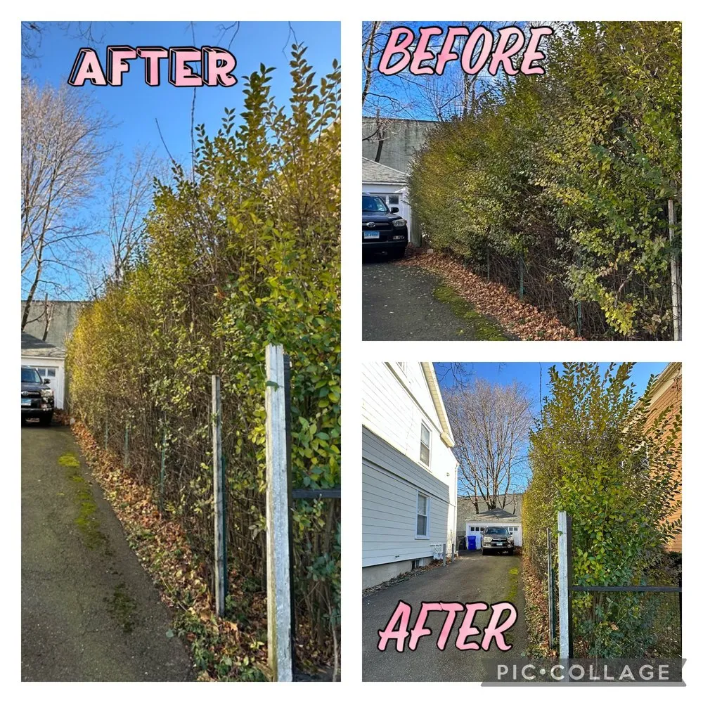 Expert lawn mowing service experts serving Bridgeport, CT - Three Daughters Landscaping and Design