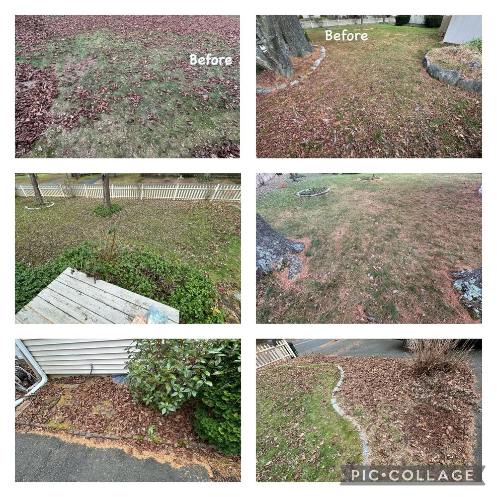 Local landscape design in Bridgeport, CT by Three Daughters Landscaping and Design