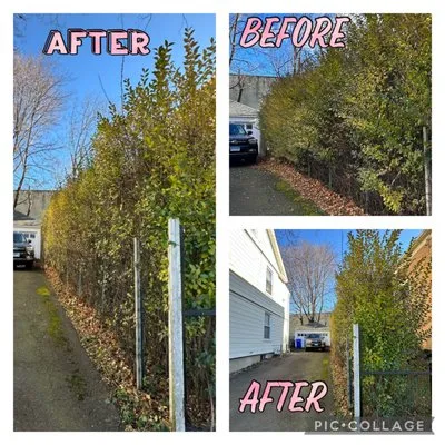 Three Daughters Landscaping and Design Logo