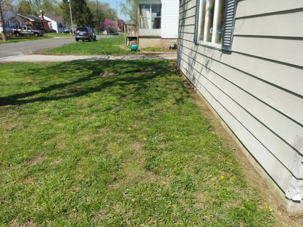 Expert garden landscaping for beautiful yards in Collinsville, IL by Three Dimensional