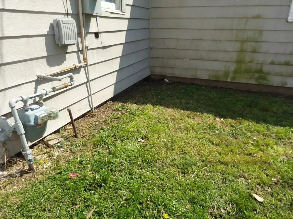 Affordable outdoor landscaping in Collinsville, IL by Three Dimensional