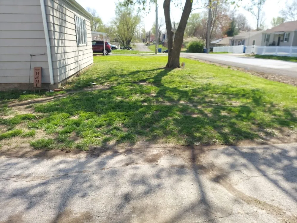 Expert landscaping services near you in Collinsville, IL by Three Dimensional