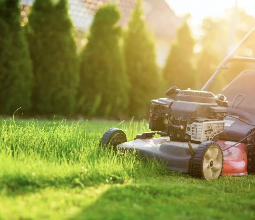 Local yard maintenance for beautiful yards in Omaha, NE by Three Dudes Lawncare