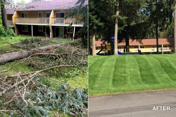 Expert lawn care service in Shelton, WA by Three Flags Landscapes