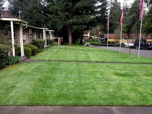 Affordable residential landscaping in Shelton, WA by Three Flags Landscapes