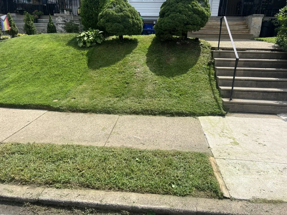 Expert landscape design near you in Philadelphia, PA by Three Guys Shop