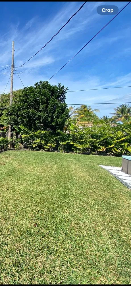 Custom outdoor landscaping in Lake Worth, FL by Three J Landscape