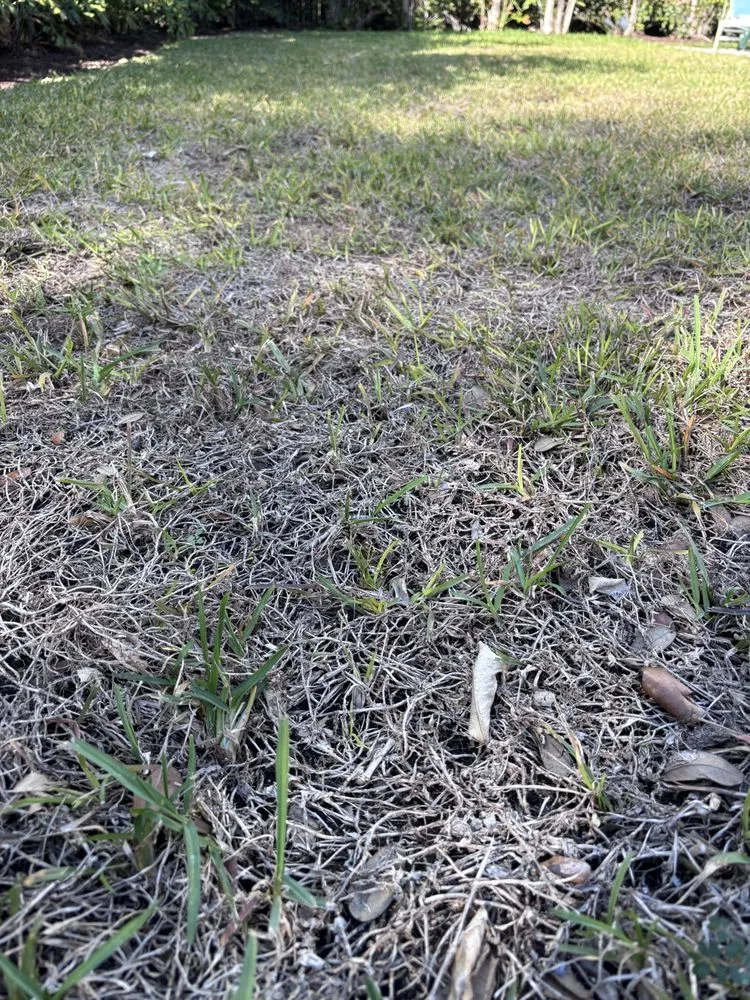 Expert yard maintenance for beautiful yards across Lake Worth, FL - Three J Landscape