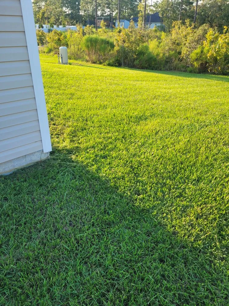 Top-rated landscape design with custom design in Brooksville, FL by Three J's Lawn Care