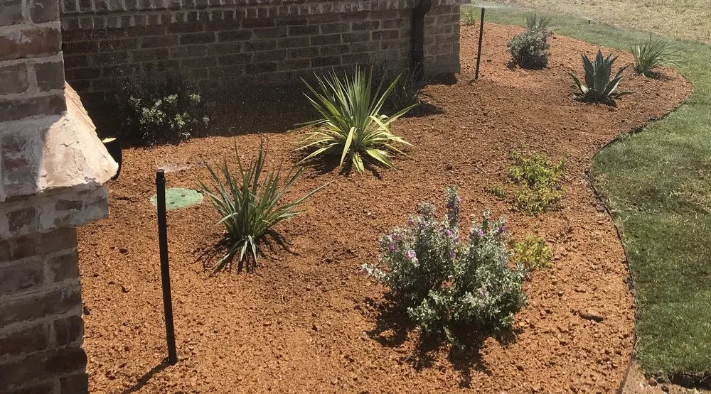 Affordable yard maintenance in Lewisville, TX by Three Kings Grounds Keeping