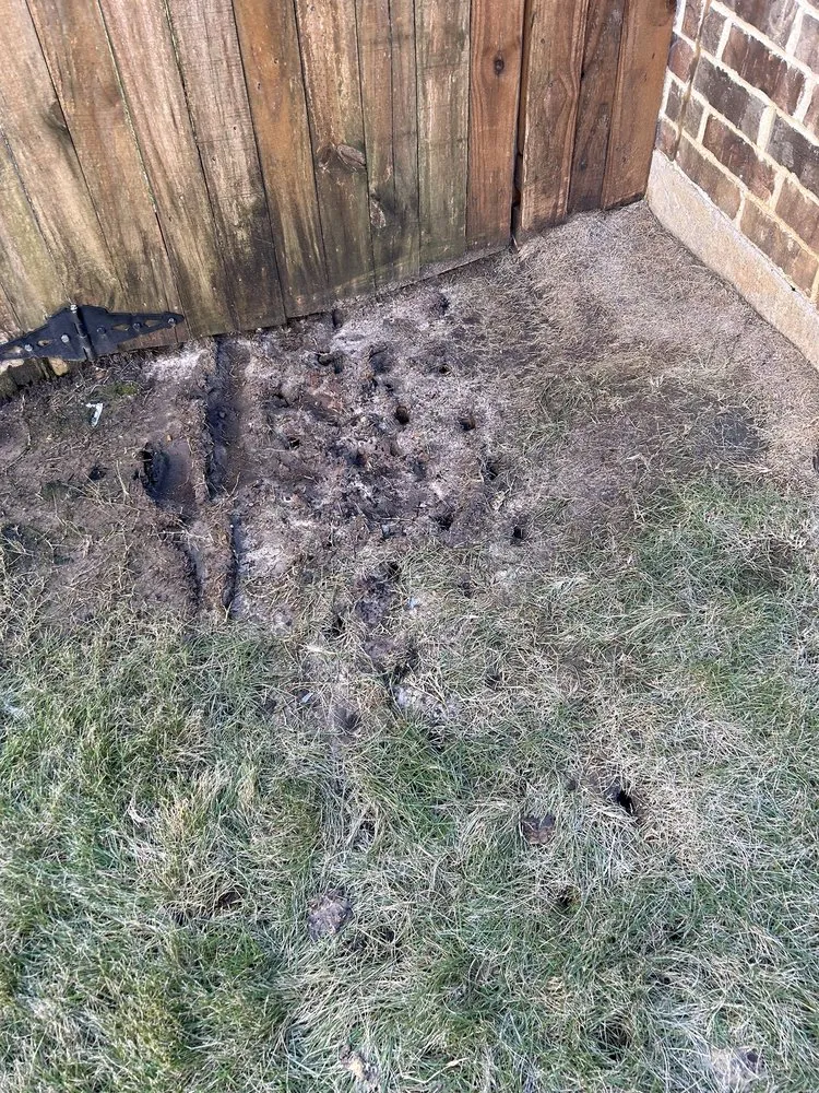 Custom garden landscaping for year-round maintenance in Lewisville, TX by Three Kings Grounds Keeping