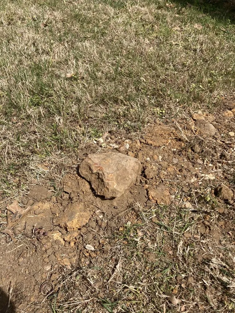 Local yard cleanup service experts serving Lewisville, TX - Three Kings Grounds Keeping